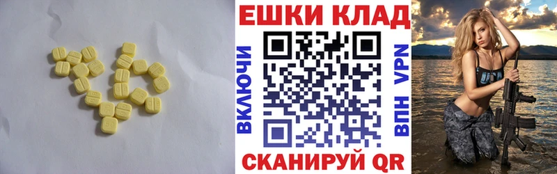 ЭКСТАЗИ Philipp Plein  Новороссийск 