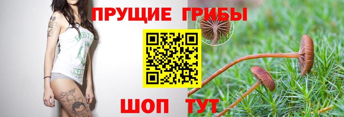 Галлюциногенные грибы мухоморы  Галлюциногенные грибы прущие грибы  Новороссийск  Вход с VPN 